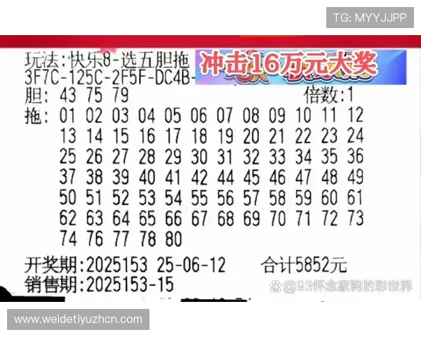 半岛体育官网体育竞猜玩法详解让你轻松掌握投注技巧提升中奖率