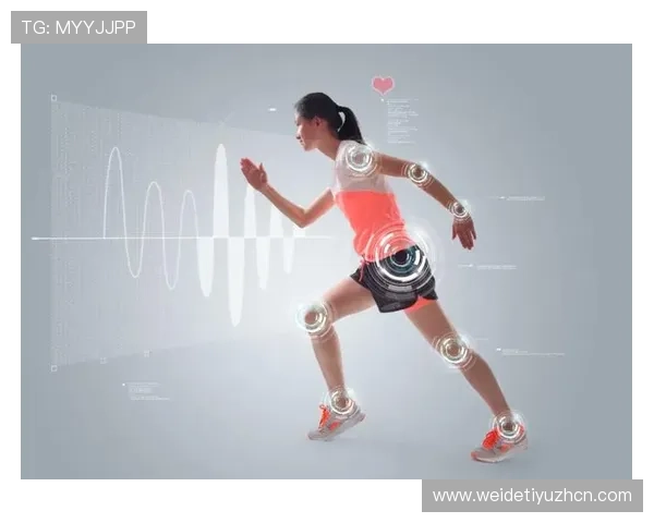 U体育官网平台全面升级助力用户体验提升引领体育数字化新潮流