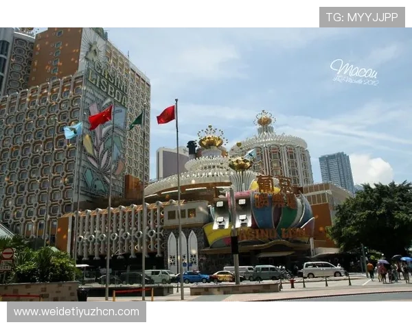 澳门凯旋国际娱乐游戏种类全景介绍，满足不同玩家的多样化需求