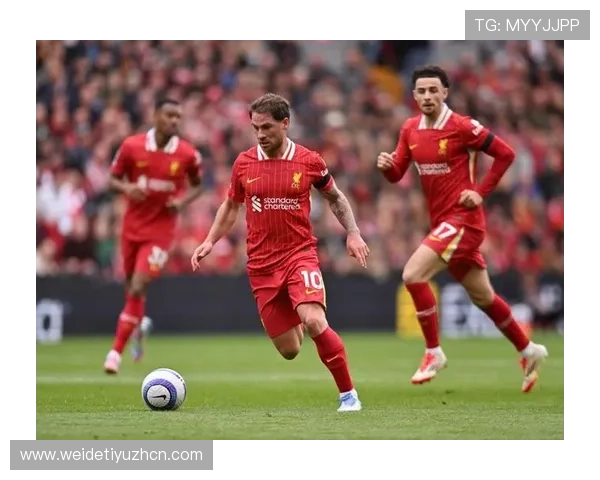 bevictor韦德app下载最新版本，轻松体验丰富游戏内容与多样玩法