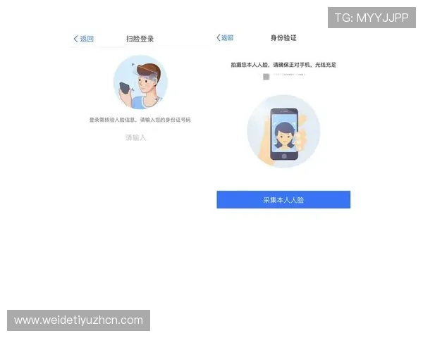 v体育网站登录入口安全保障措施解析，教你如何识别正规入口，避免账号信息泄露风险