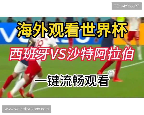 2026年世界杯西班牙VS沙特比赛的票务购买及现场观赛注意事项
